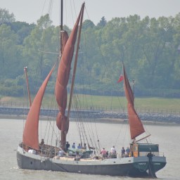 Thistle On The Stour
